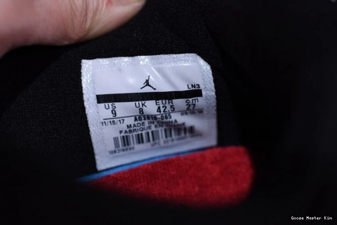 NRG AQ3816-065 Retro 4 Jordan Air Raptors